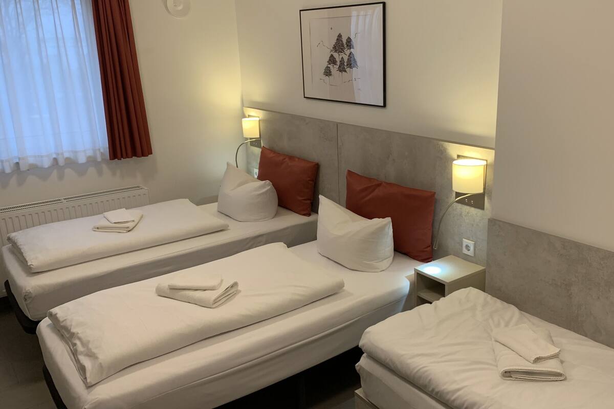 Habitación de hotel con dos camas individuales, cada una con sábanas y almohadas blancas, un cabecero con lámpara, y un cuadro en la pared.