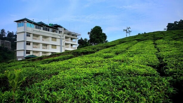Un edificio de varios pisos con balcones, rodeado de exuberantes plantaciones de té.