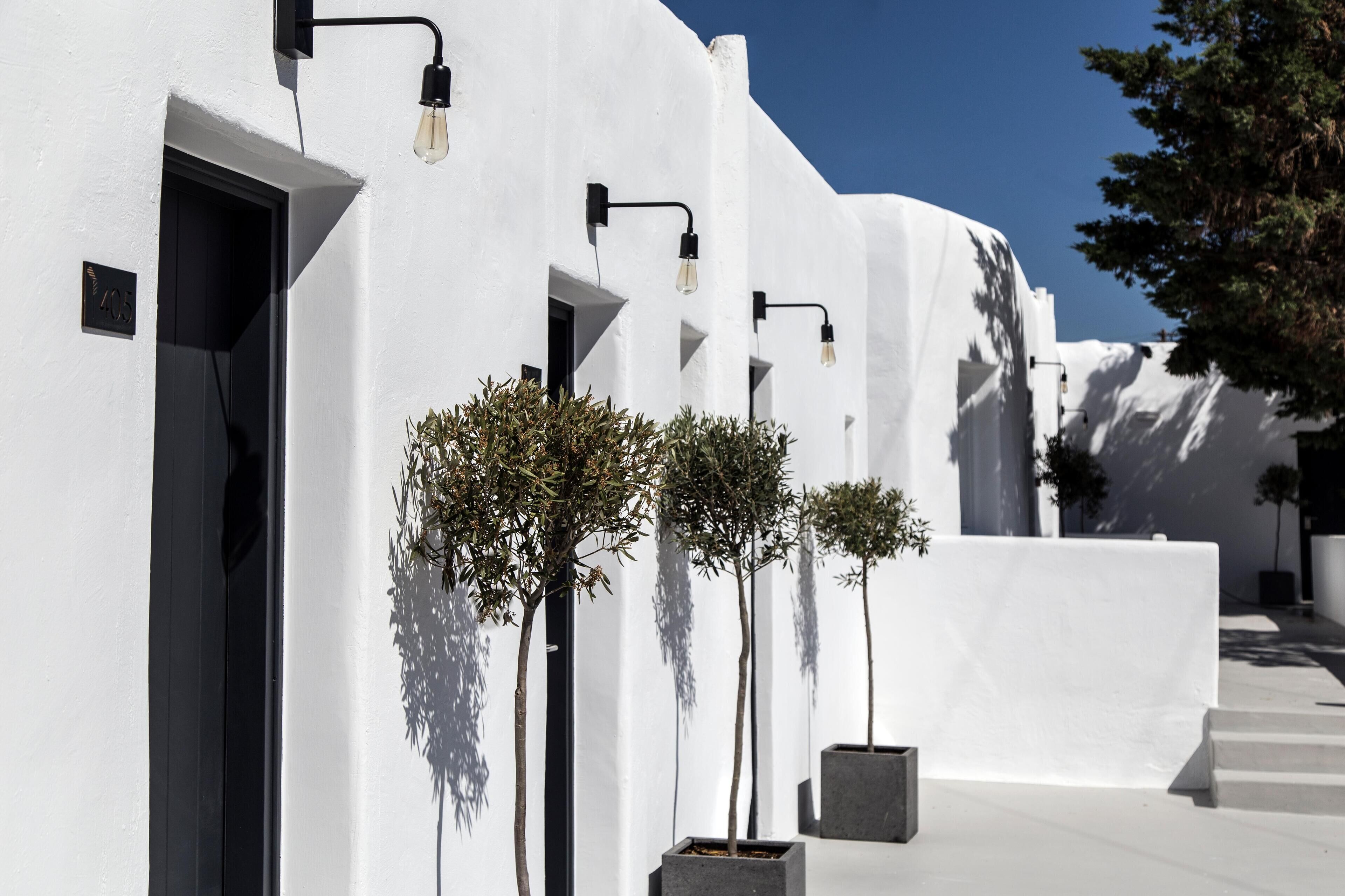 A white building with black door frames and light fixtures. There are potted trees in front of the building.