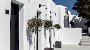 A white building with black door frames and light fixtures. There are potted trees in front of the building.