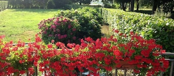 Hotel Ristorante Gama