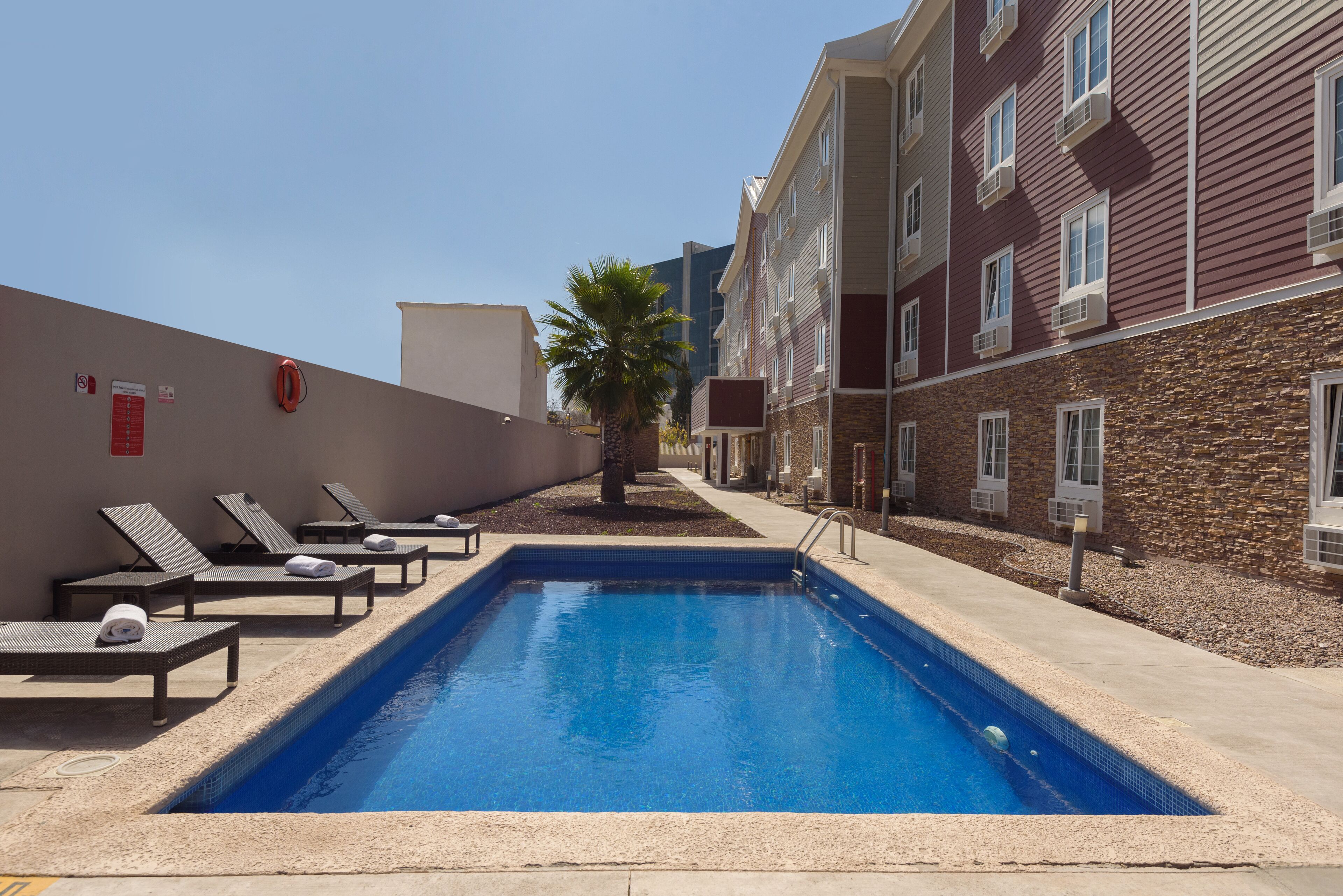 A swimming pool with lounge chairs and a palm tree, surrounded by multi-story buildings.