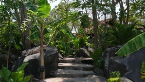 Vườn