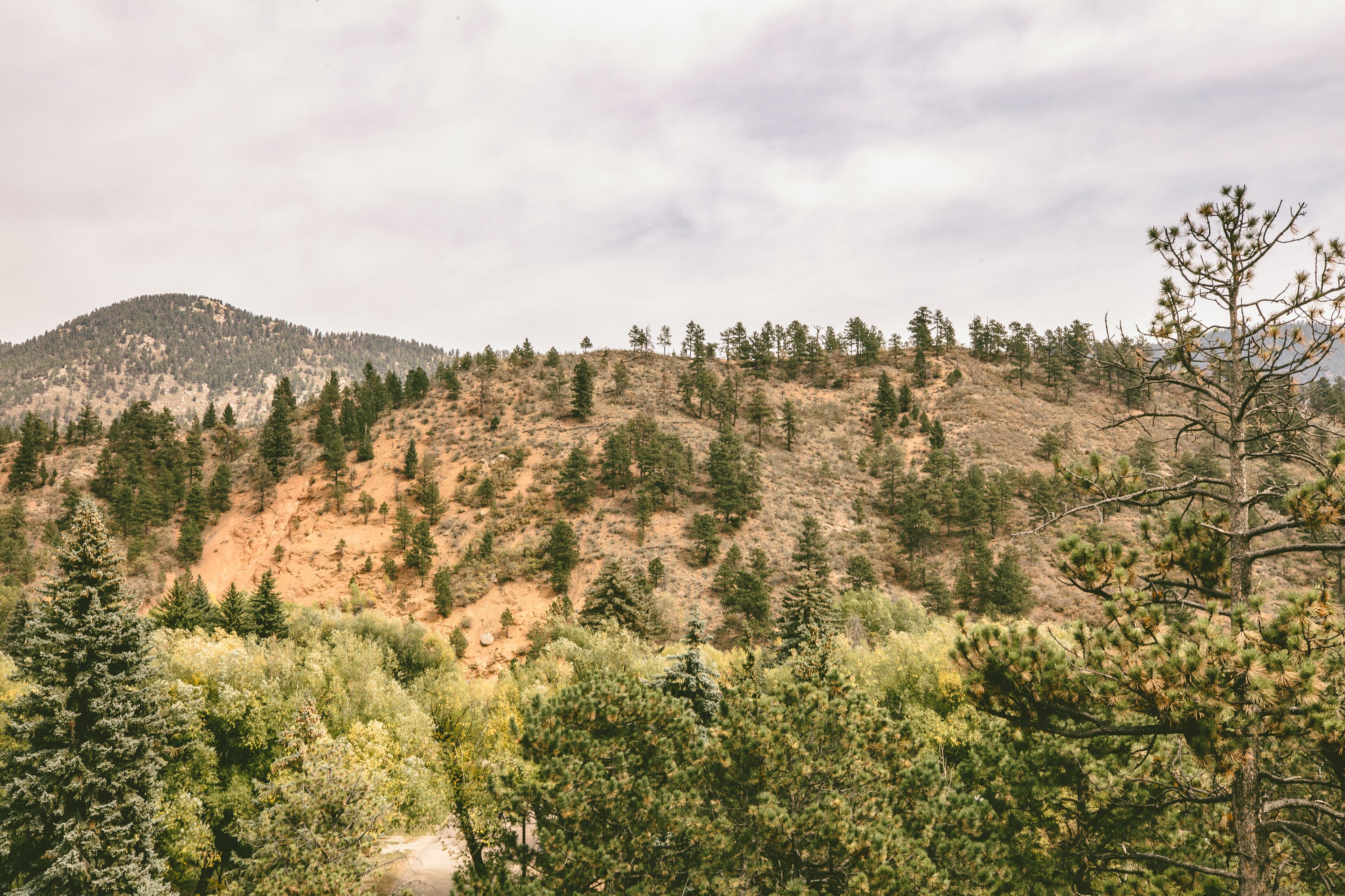 A mountainous landscape with dense forestation and a clear sky.
