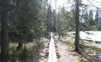 Un sendero para caminatas arbolado con una pasarela de madera.