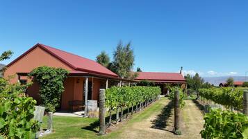 Luxury Studio Suite, Patio, Vineyard View | Terrace/patio