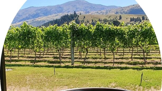 Un jacuzzi en una terraza de madera, con un viñedo y montañas al fondo.
