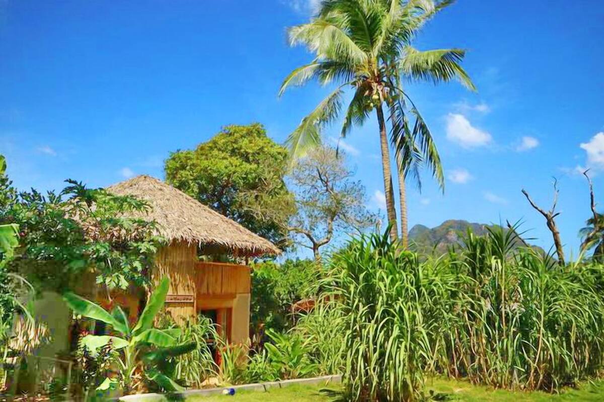 A thatched-roof hut surrounded by lush greenery and a tall palm tree.