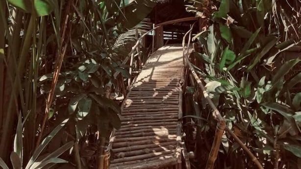 Ảnh chưa phân loại, 1 trong số 43 ảnh, nút