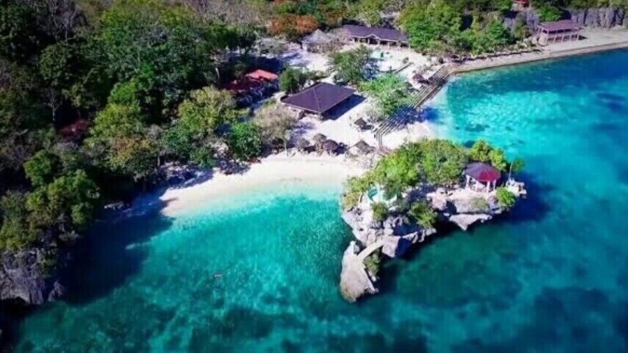 ファースト ベイビー バイツ ゲスト ハウス