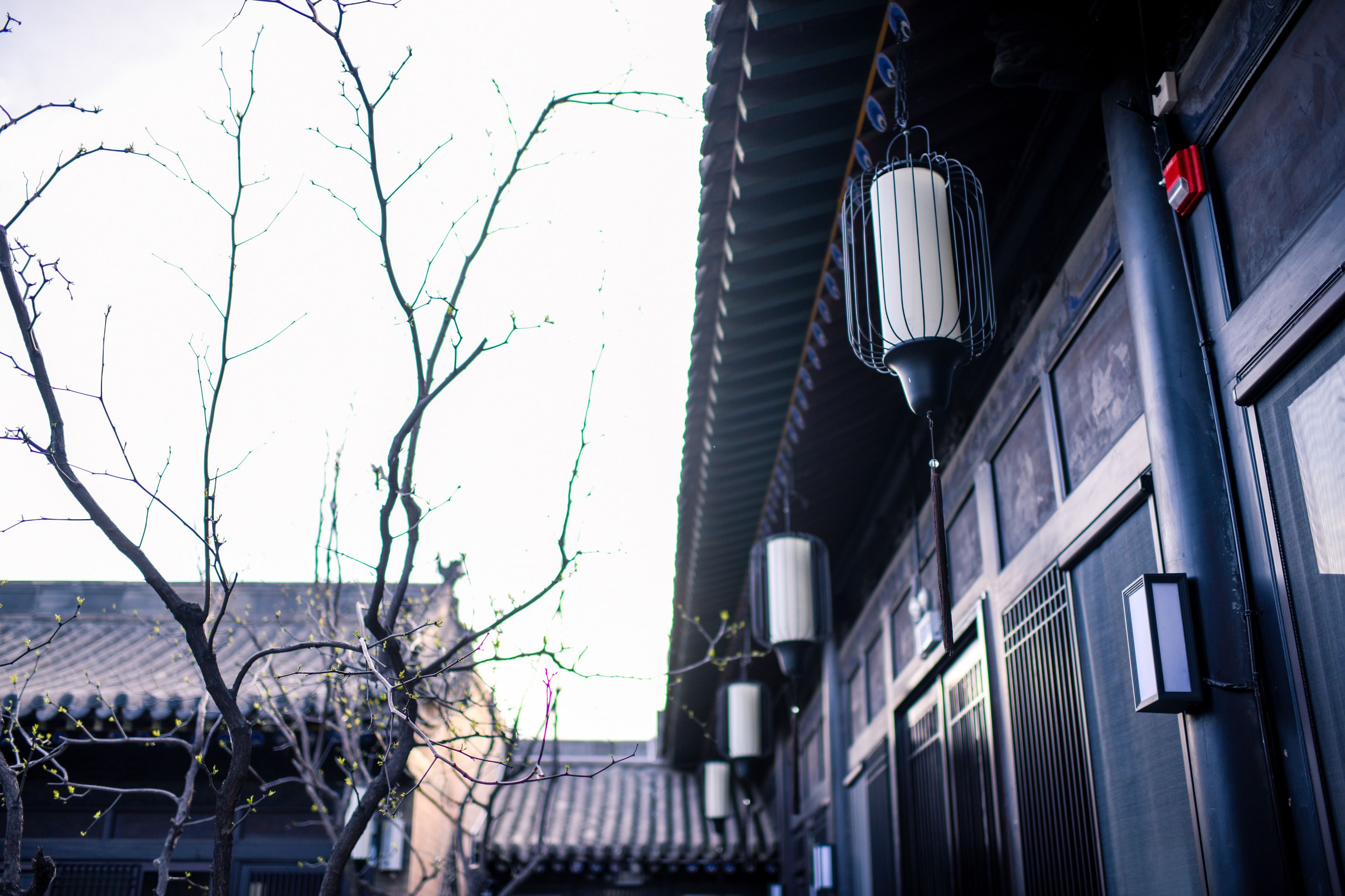 A traditional building with a tiled roof, a lantern, and a door with a small window.