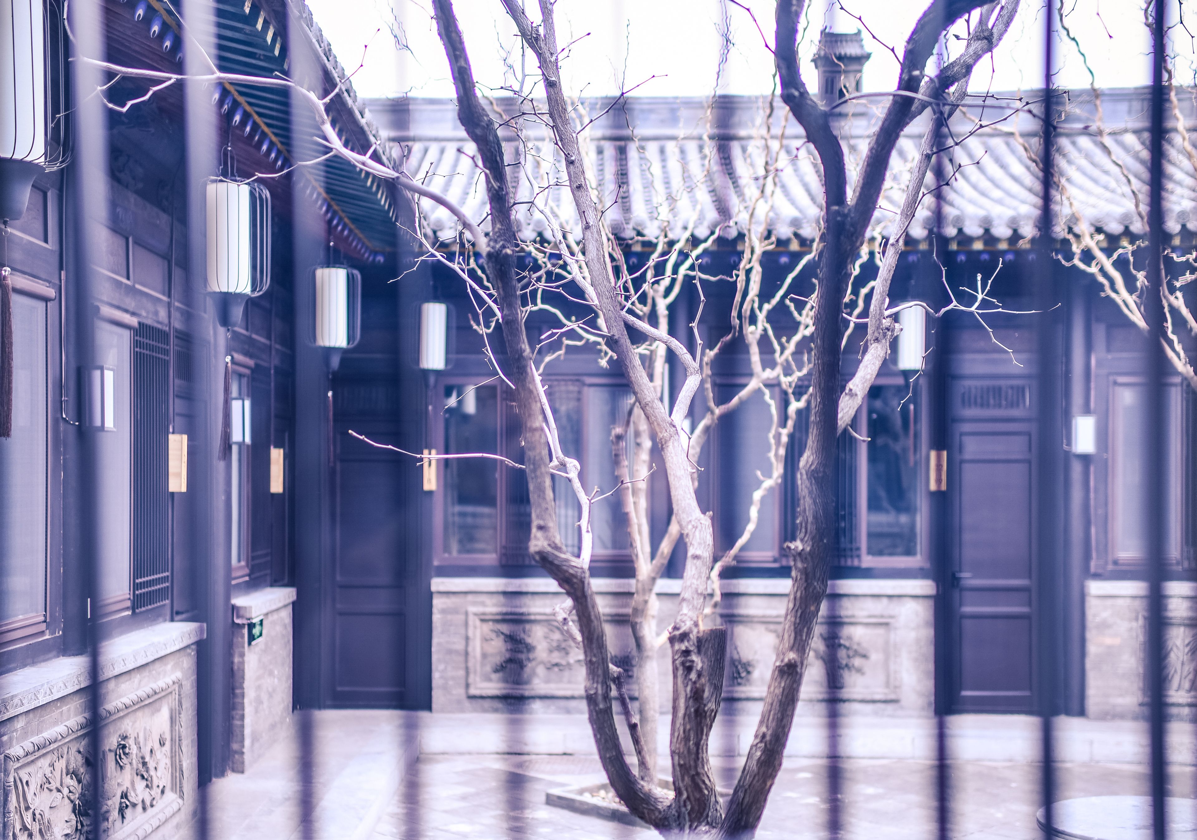 A traditional building with a courtyard, featuring a tree in the center, wooden doors, and traditional Chinese architectural elements.