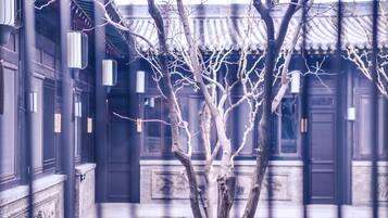 A traditional building with a courtyard, featuring a tree in the center, wooden doors, and traditional Chinese architectural elements.