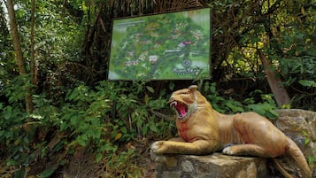 A map of the Jungle Trail and Jungle Elephant Trail at the Royale Casino.