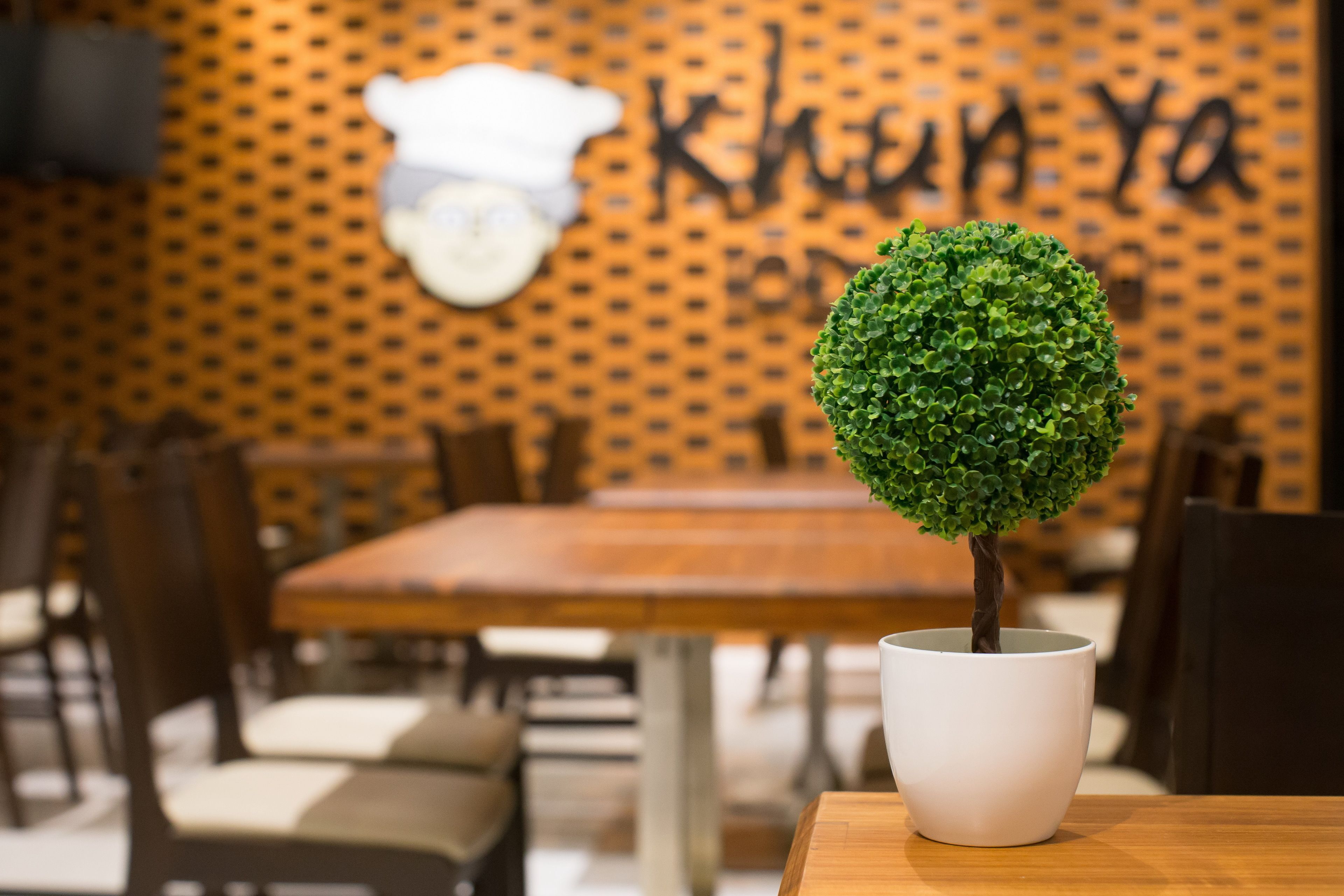 A dining area with a round table and chairs, a potted plant, and a wall with a pattern and some text.