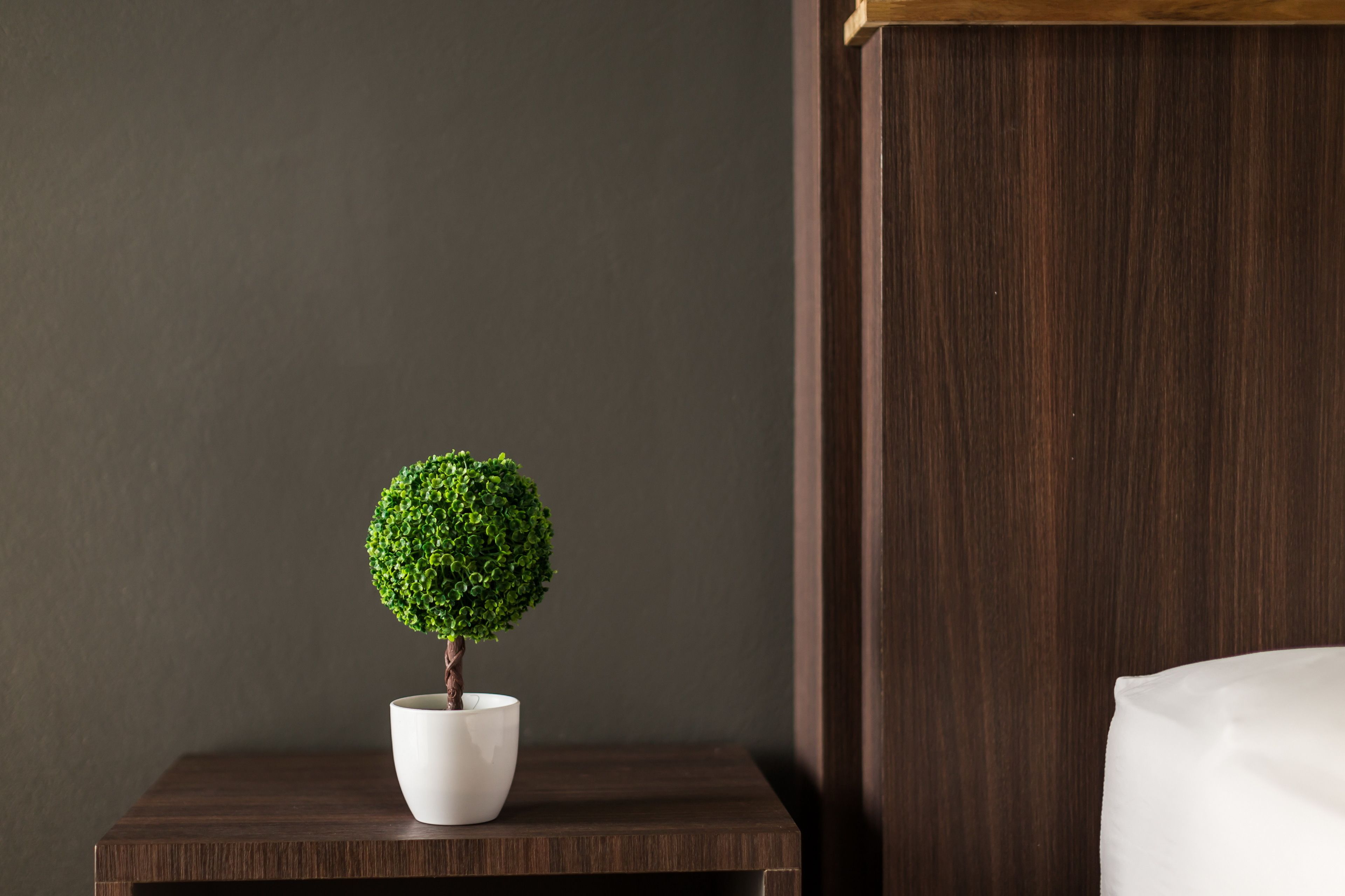 A small potted tree on a wooden nightstand next to a bed in a hotel room.