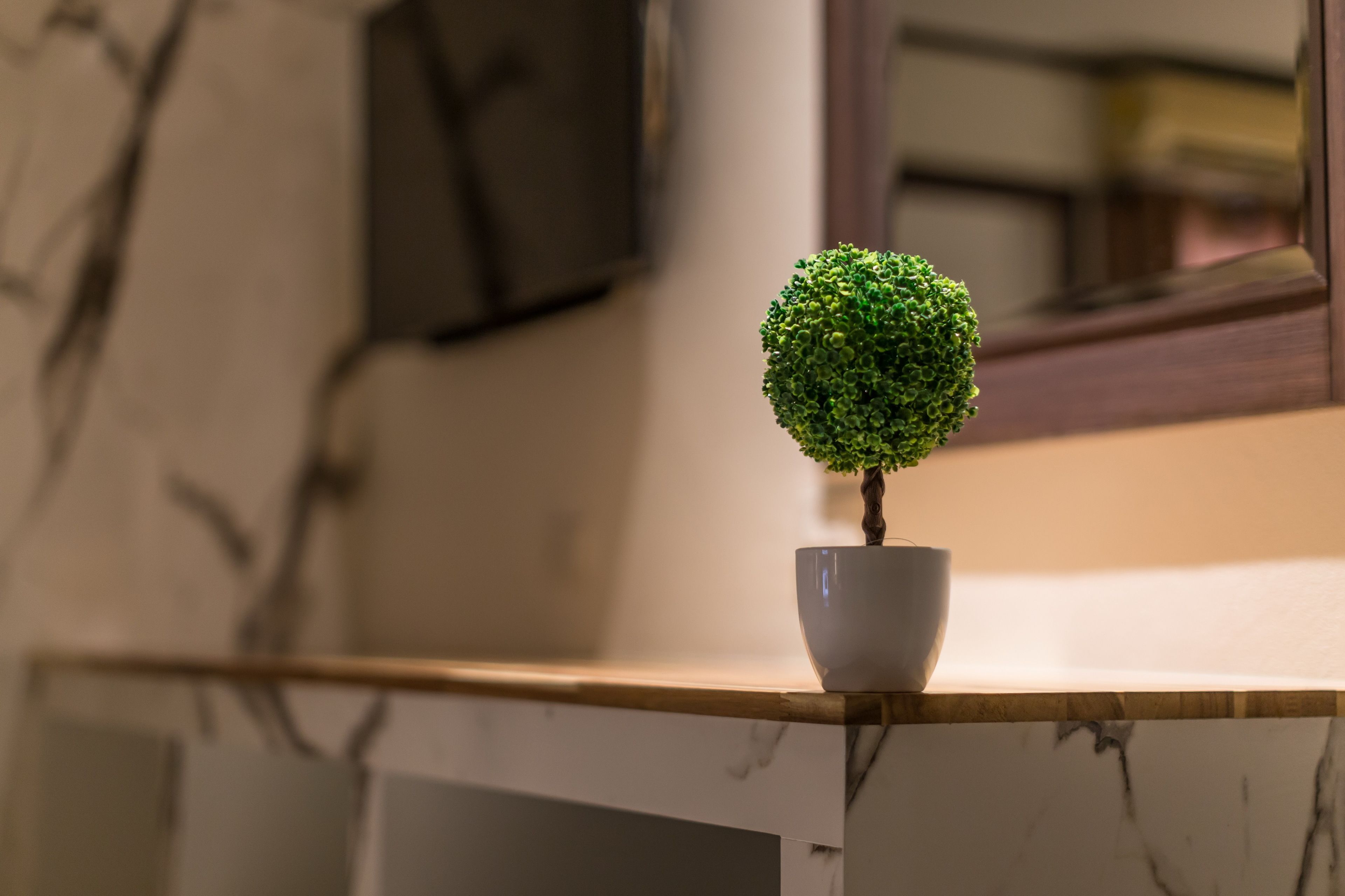 A potted bonsai tree on a marble countertop with a wooden shelf.
