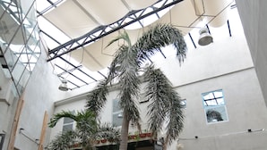 A spacious indoor area with a high ceiling, large windows, and multiple potted plants. - Viven Hotel (San Nicolas)