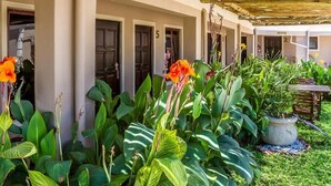 A hotel with a row of rooms numbered 1 to 5, a reception area, and a garden with large leafy plants and flowers.