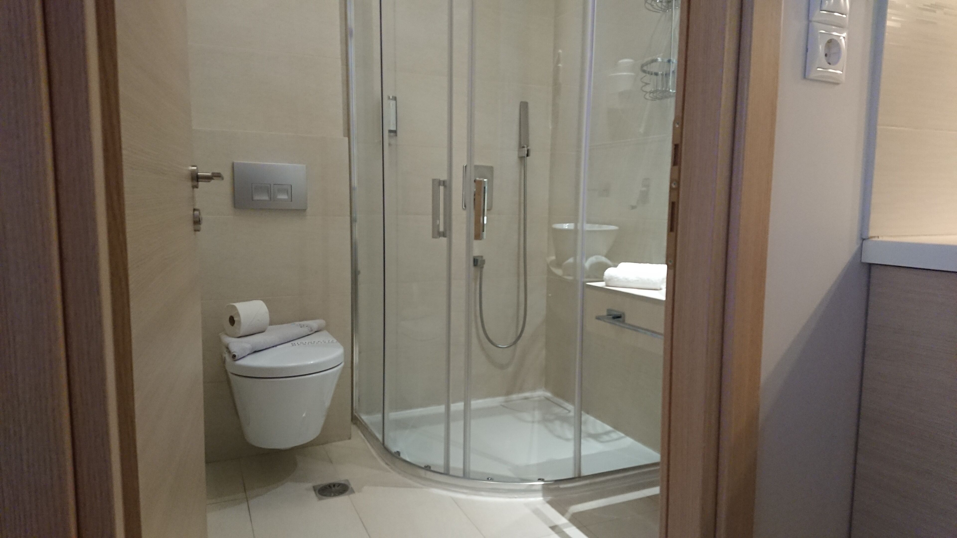 A modern bathroom with a glass shower enclosure, a toilet, and a sink.