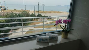 A window with a view of a beach, a bench, and a potted orchid.
