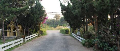 A rural road flanked by trees and a white fence.