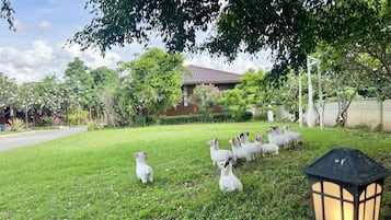 Bungalow, 2 Single Beds | Courtyard view
