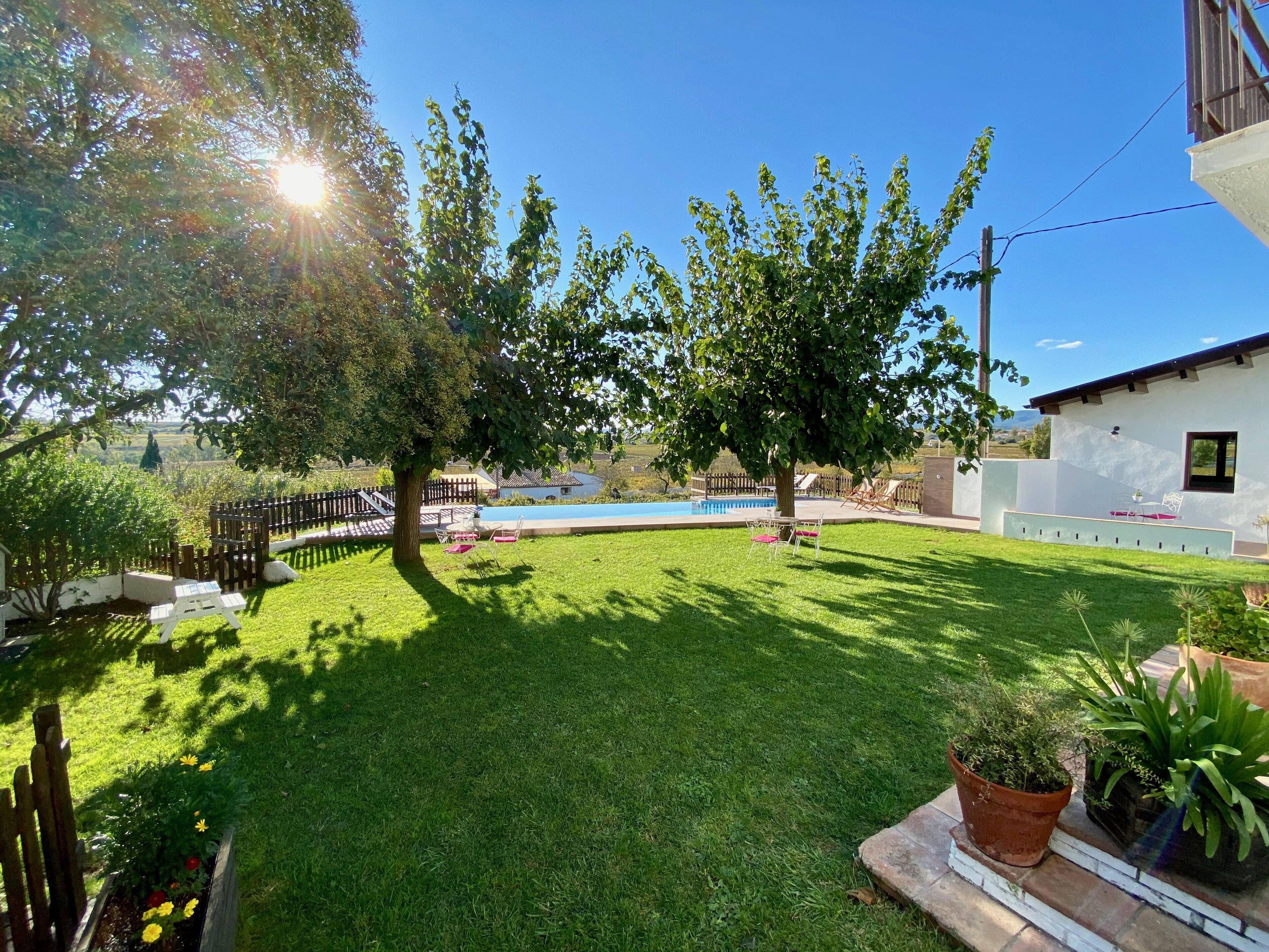 A backyard with a swimming pool, a wooden fence, and a grassy lawn.