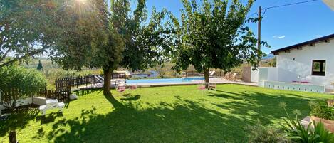 A backyard with a swimming pool, a wooden fence, and a grassy lawn.