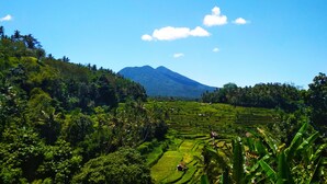 Terraced rice fields with a mountain in the background. - Pondok Batur Indah (Karangasem)