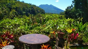 A garden with a stone table and chairs, surrounded by lush greenery and a view of a mountain. - Pondok Batur Indah (Karangasem)
