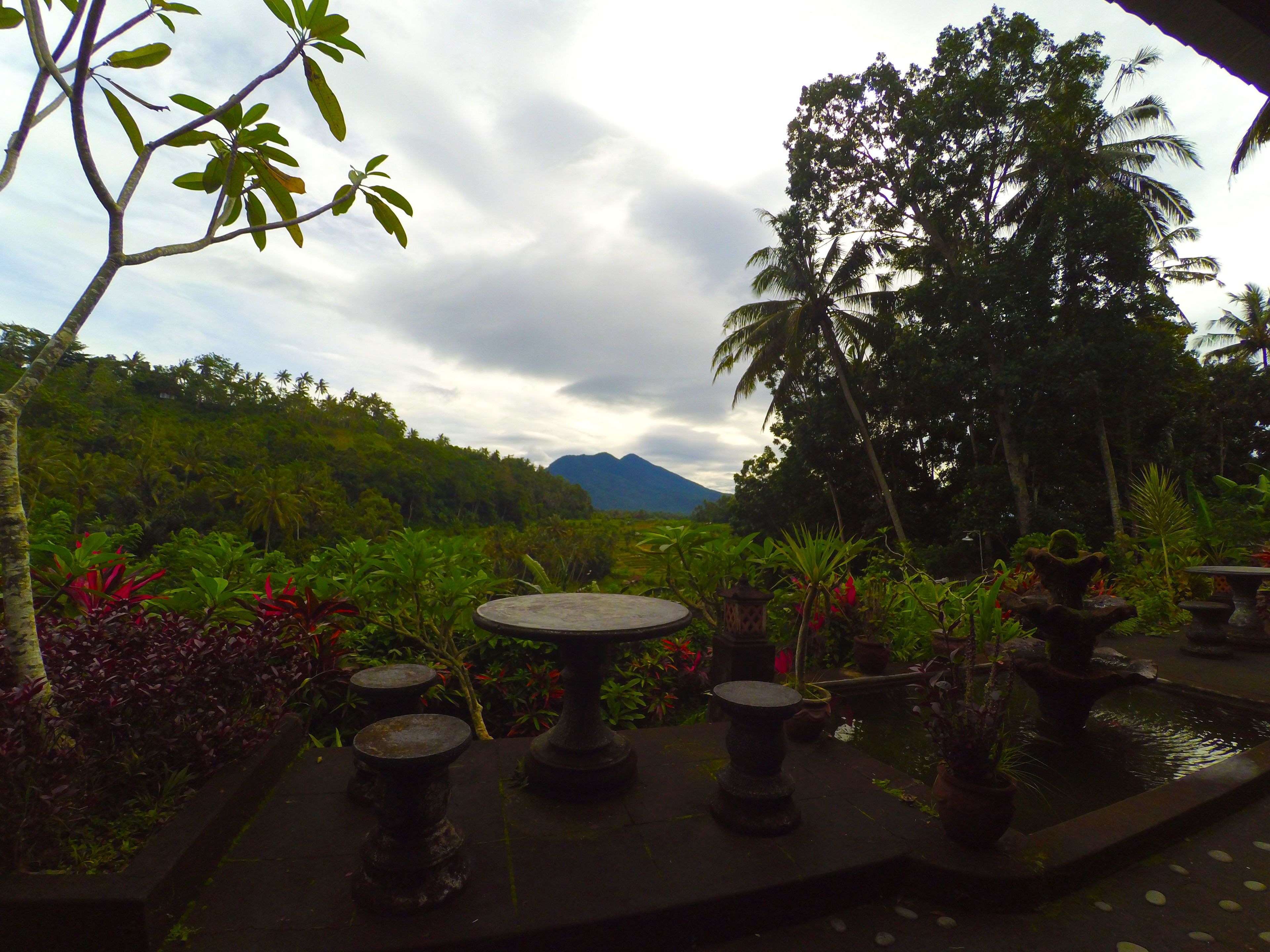 Un jardín con una mesa de piedra y bancos, rodeado de plantas tropicales y una montaña al fondo.