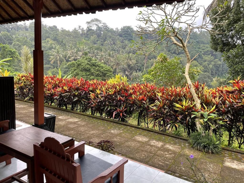 An outdoor seating area with a view of a lush, tropical landscape.