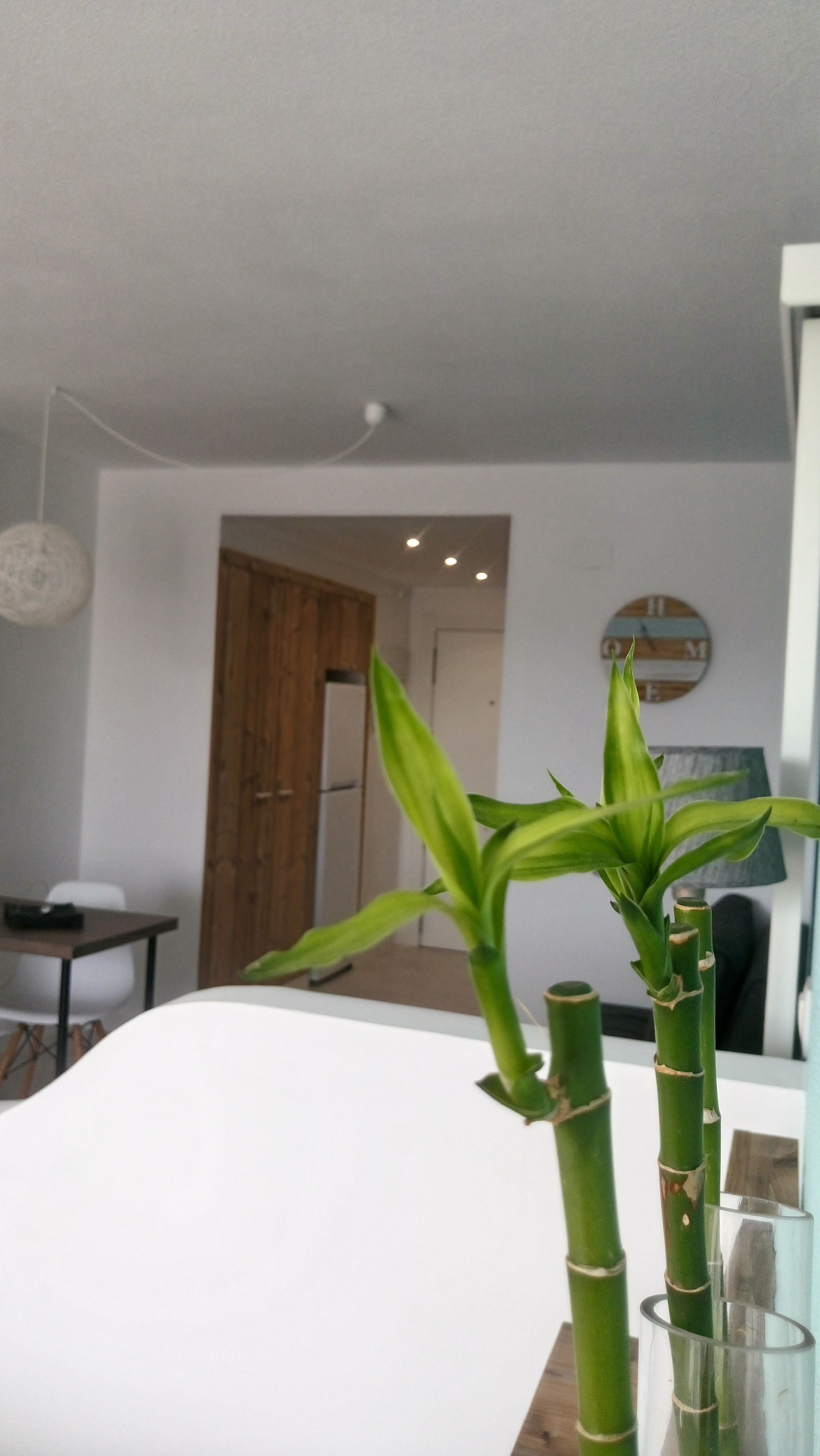 Studio, Pool View | In-room dining