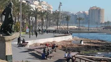 Un paseo marítimo con palmeras, bancos y una estatua.