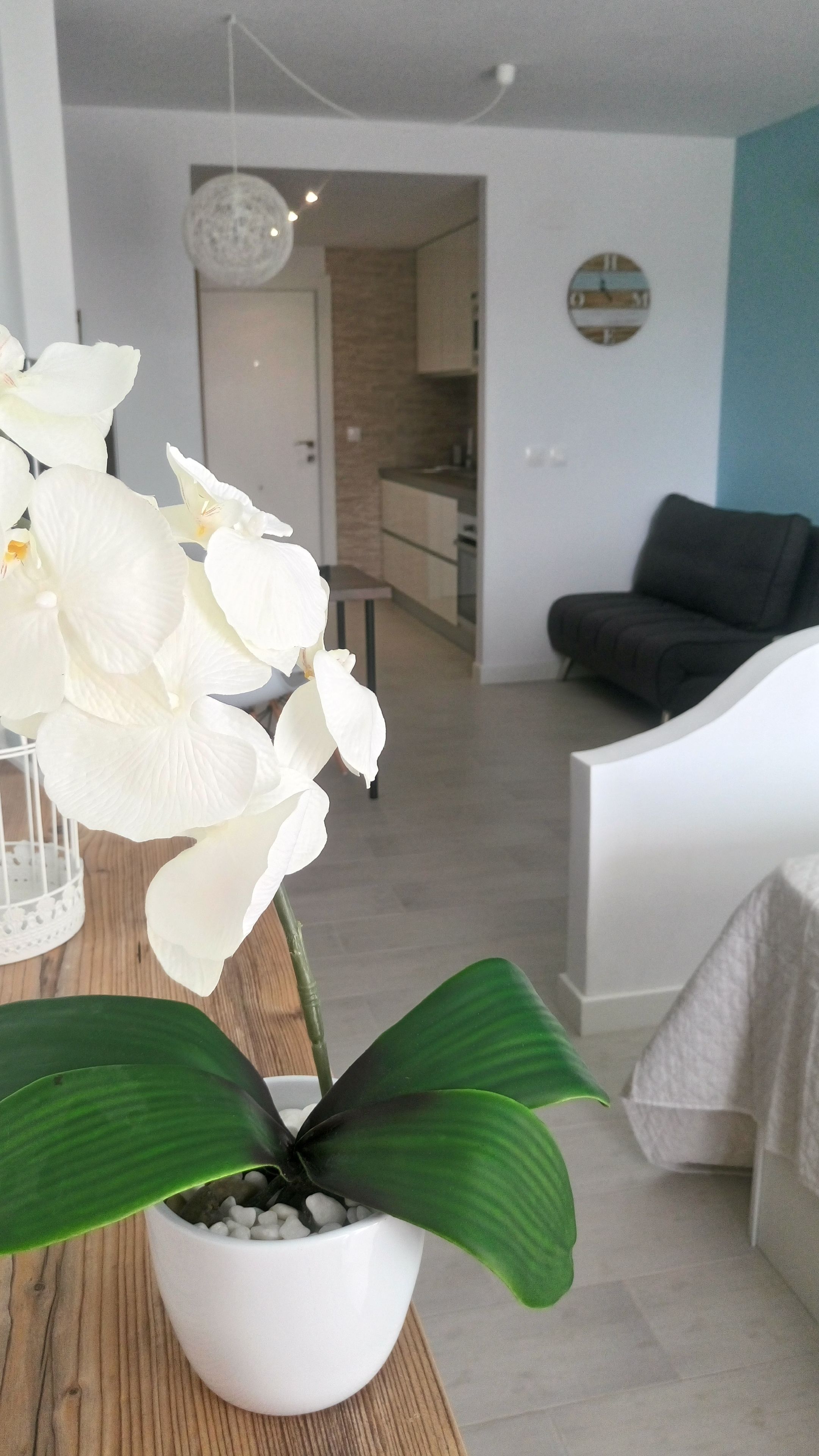 studio, pool view | room amenity