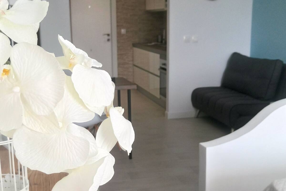 studio, pool view | room amenity