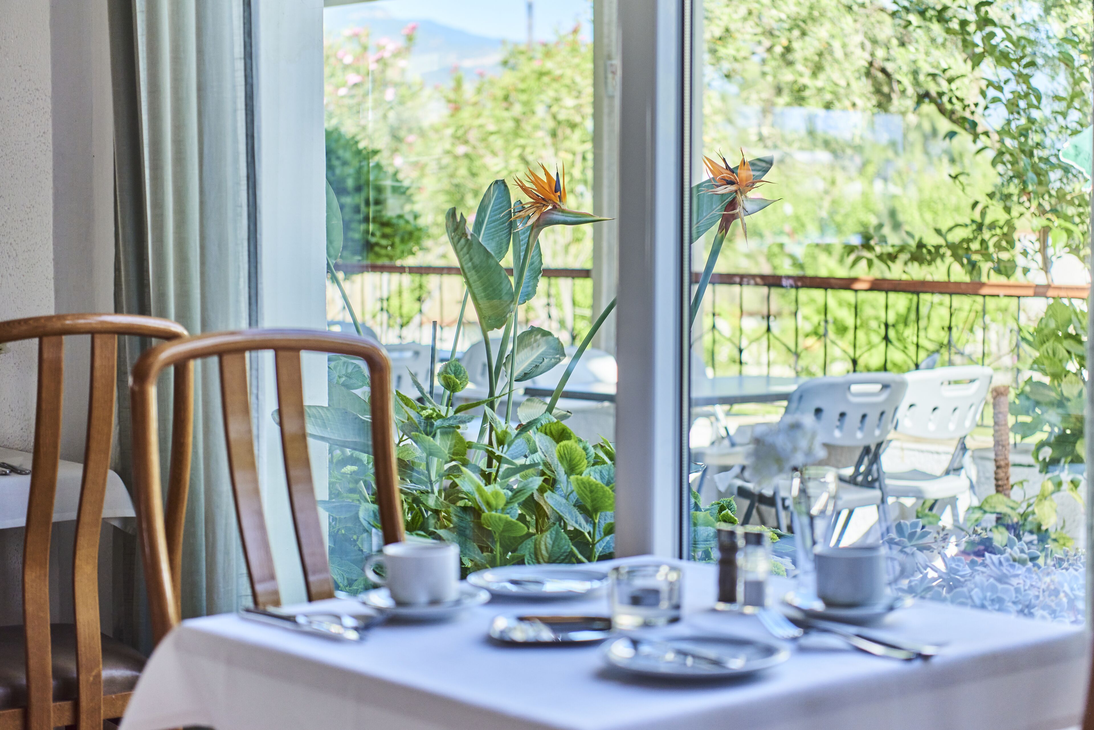 breakfast and dinner served, local cuisine