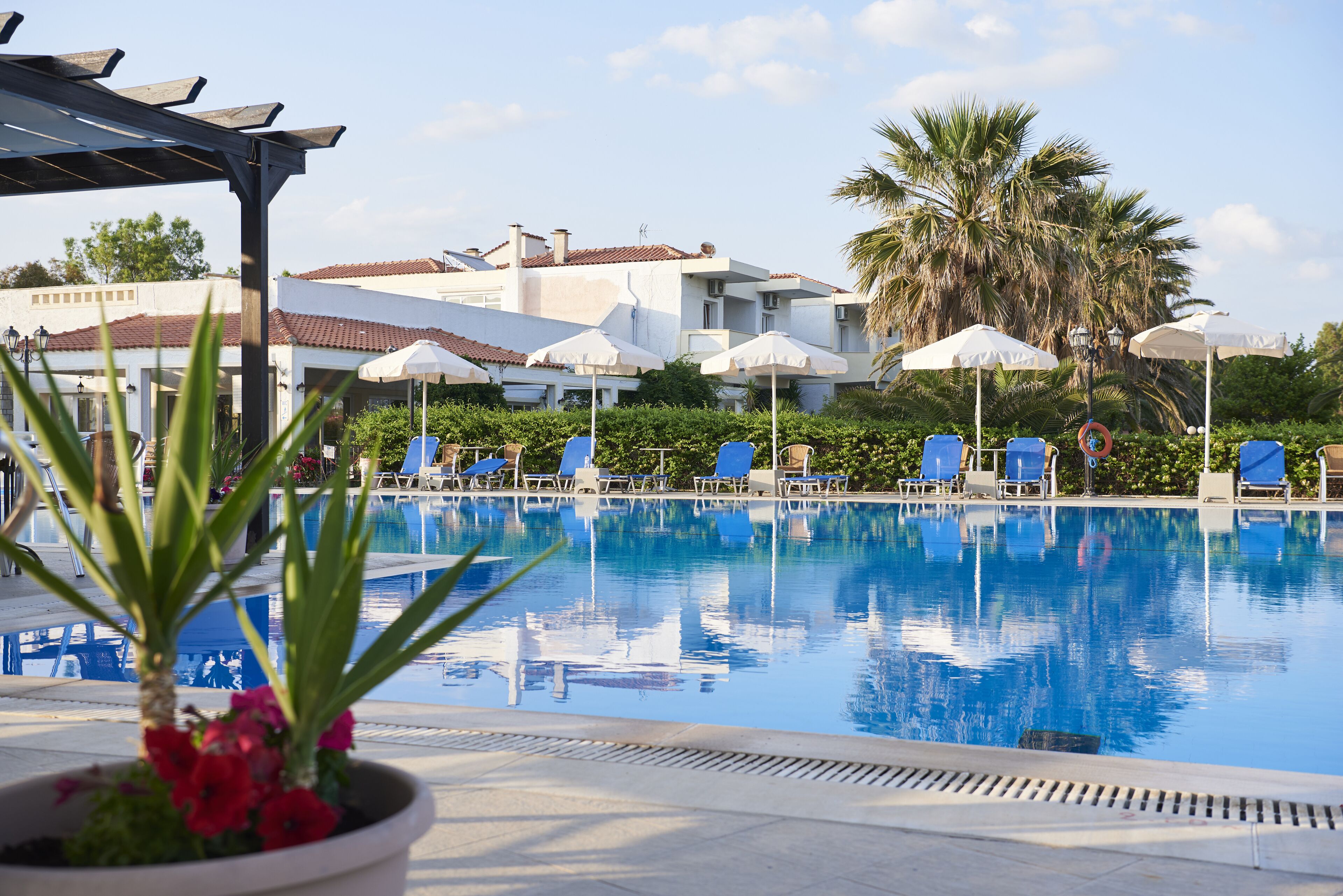 outdoor pool, pool loungers