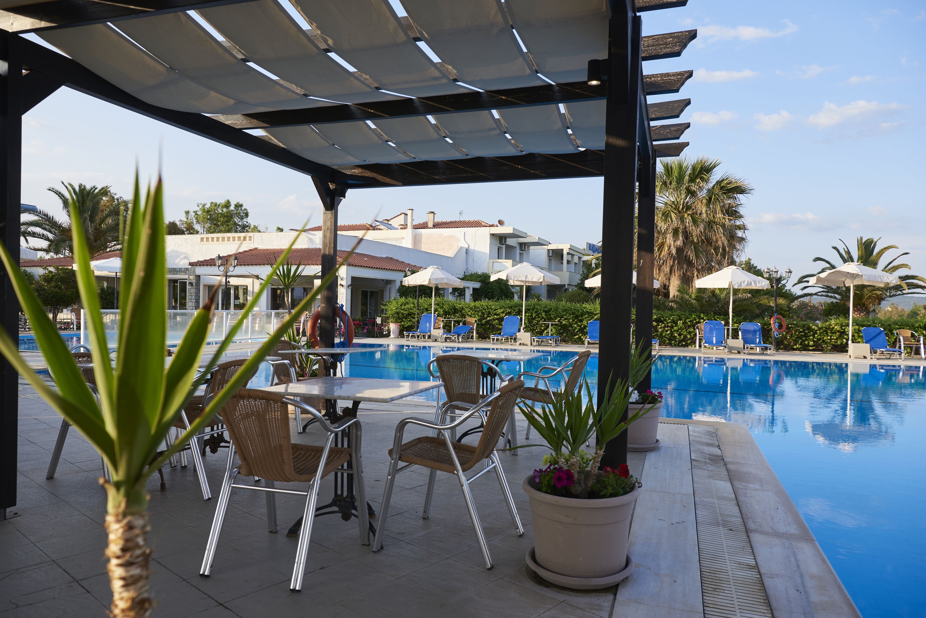 outdoor pool, pool loungers