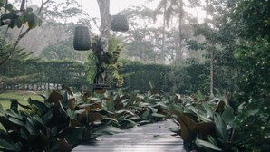 Un sendero de madera rodeado de vegetación exuberante y faroles colgantes.
