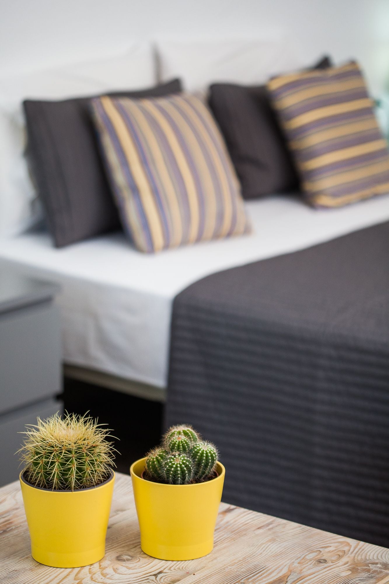 スタンダード ルーム | セーフティボックス (室内)、客室ごとに異なる装飾、客室ごとに異なるインテリア、ノートパソコン用作業スペース