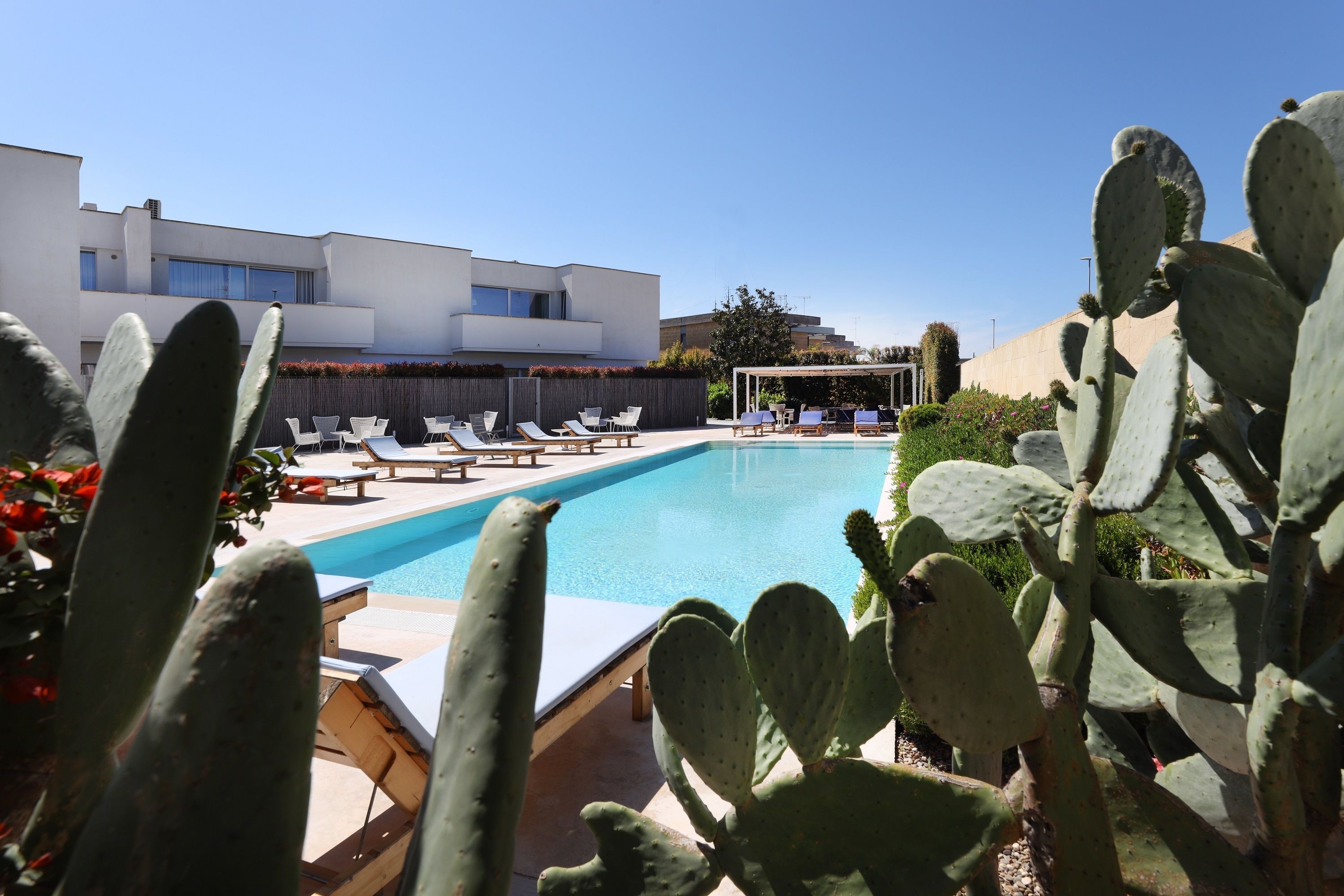 A modern pool area with lounge chairs and a cactus plant in the foreground.