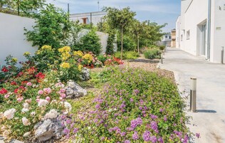 Jardín