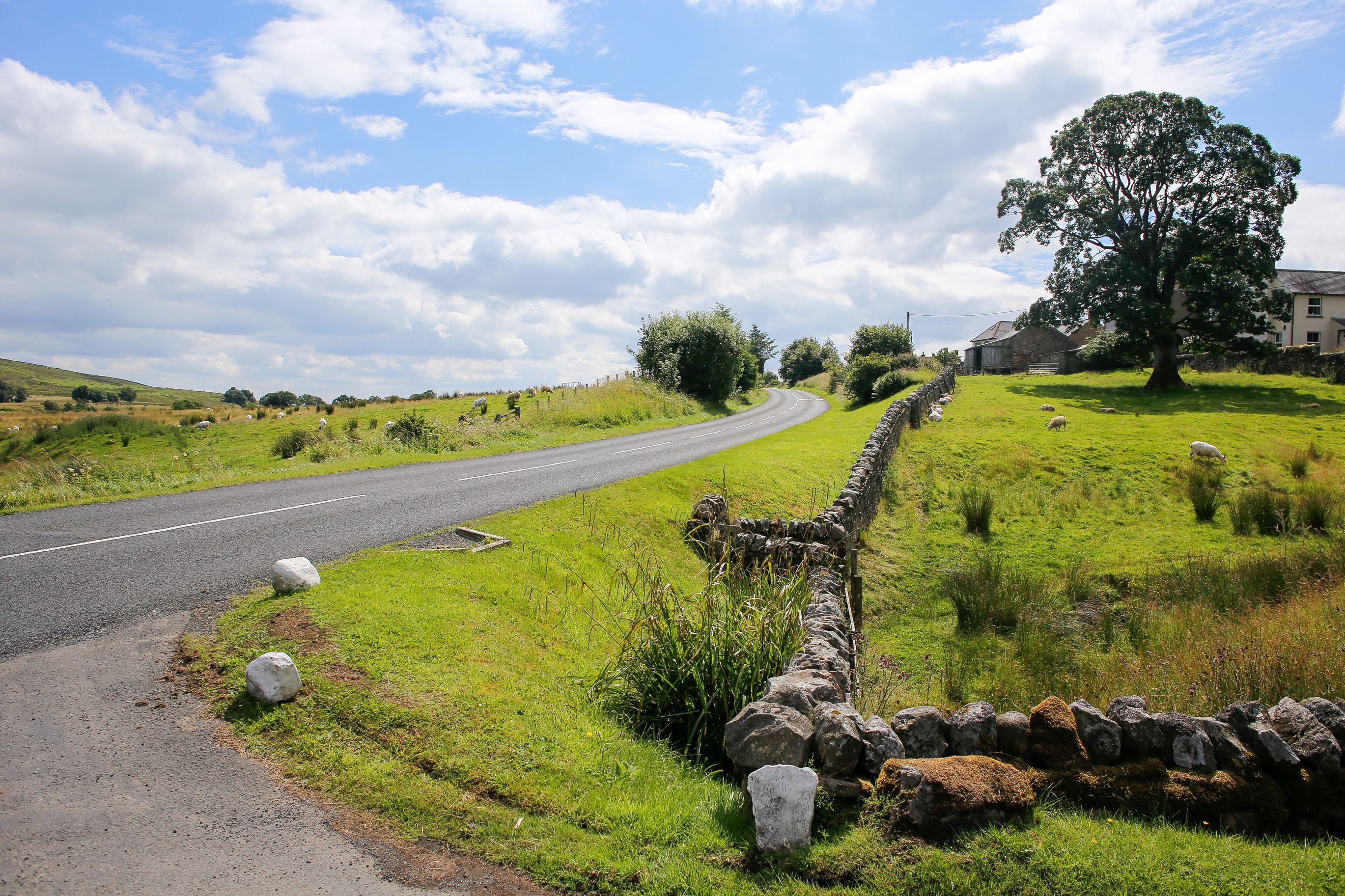 Een landweg die zich slingert door een groen landschap met stenen muren en een grote boom.