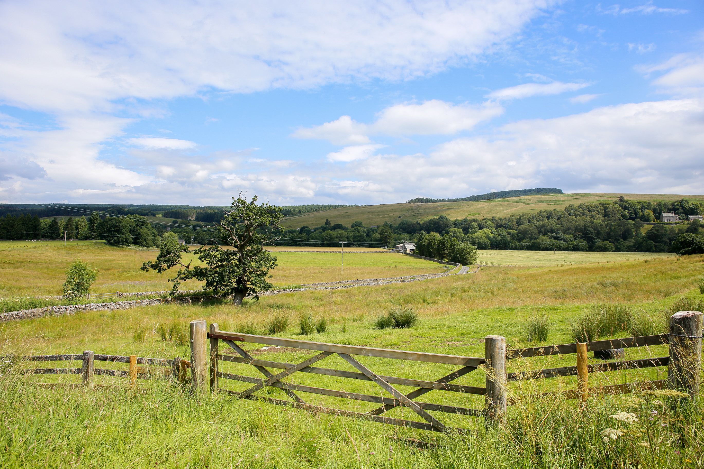 A rural landscape with a wooden fence, a stone wall, and a tree in the foreground.