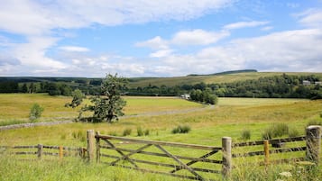 A rural landscape with a wooden fence, a stone wall, and a tree in the foreground.