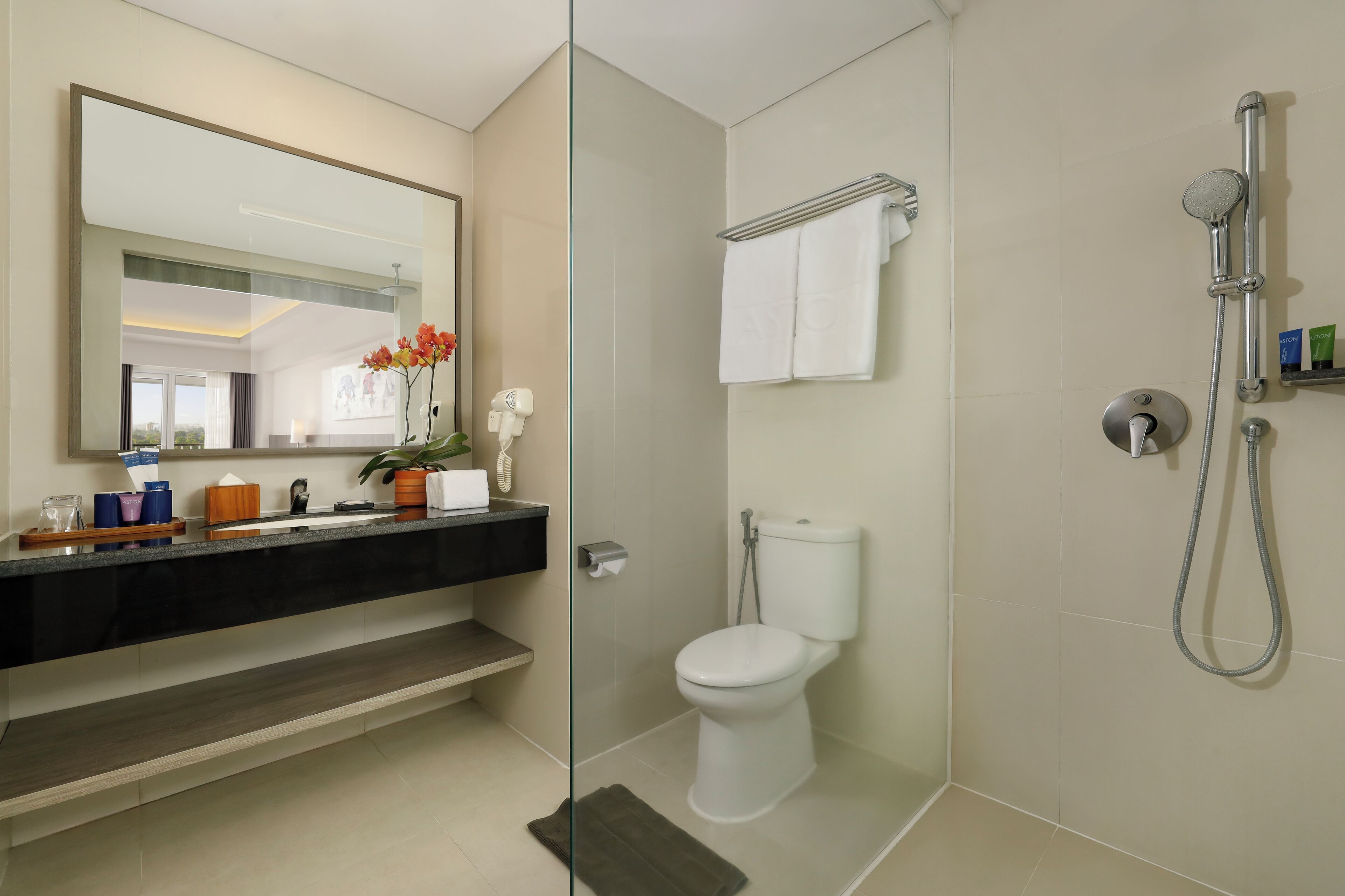 shower, free toiletries, hair dryer, slippers