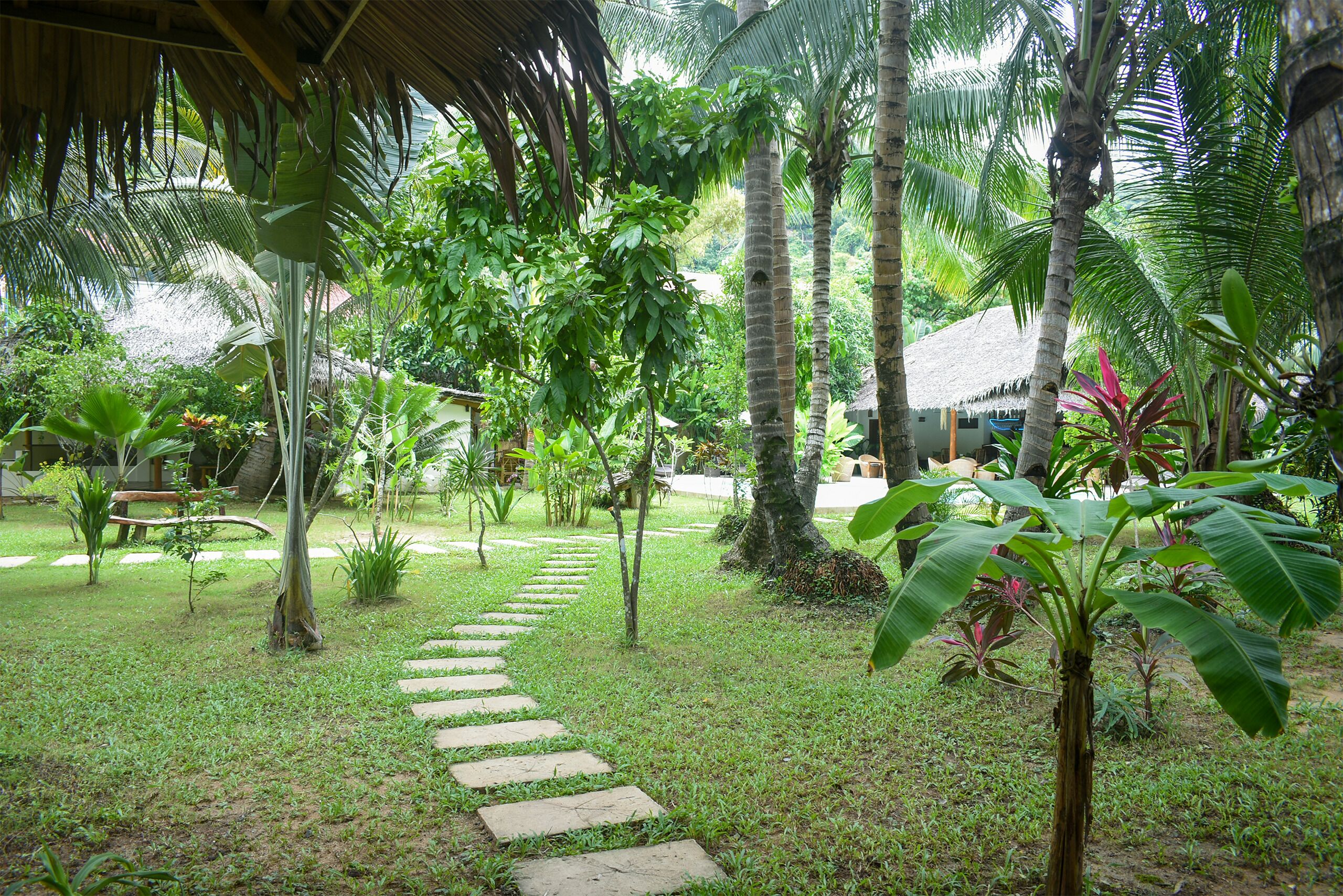 Foto - El Nido Coco Resort