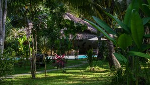 A lush garden with a thatched-roof structure, a pool, and various tropical plants. - El Nido Coco Resort (El Nido)